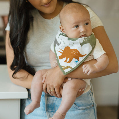 Cotton Muslin + Fleece Bandana Bib 4 Pack - Dino Friends