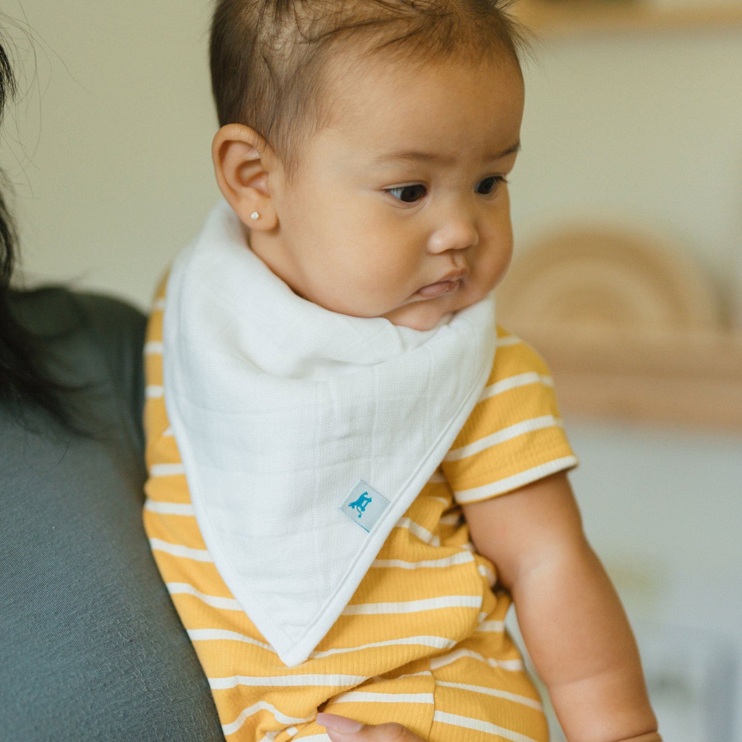 Cotton Muslin + Fleece Bandana Bib 4 Pack - Woof