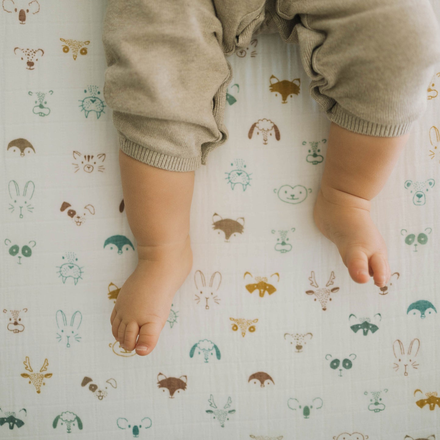 Cotton Muslin Crib Sheet - Animal Crowd