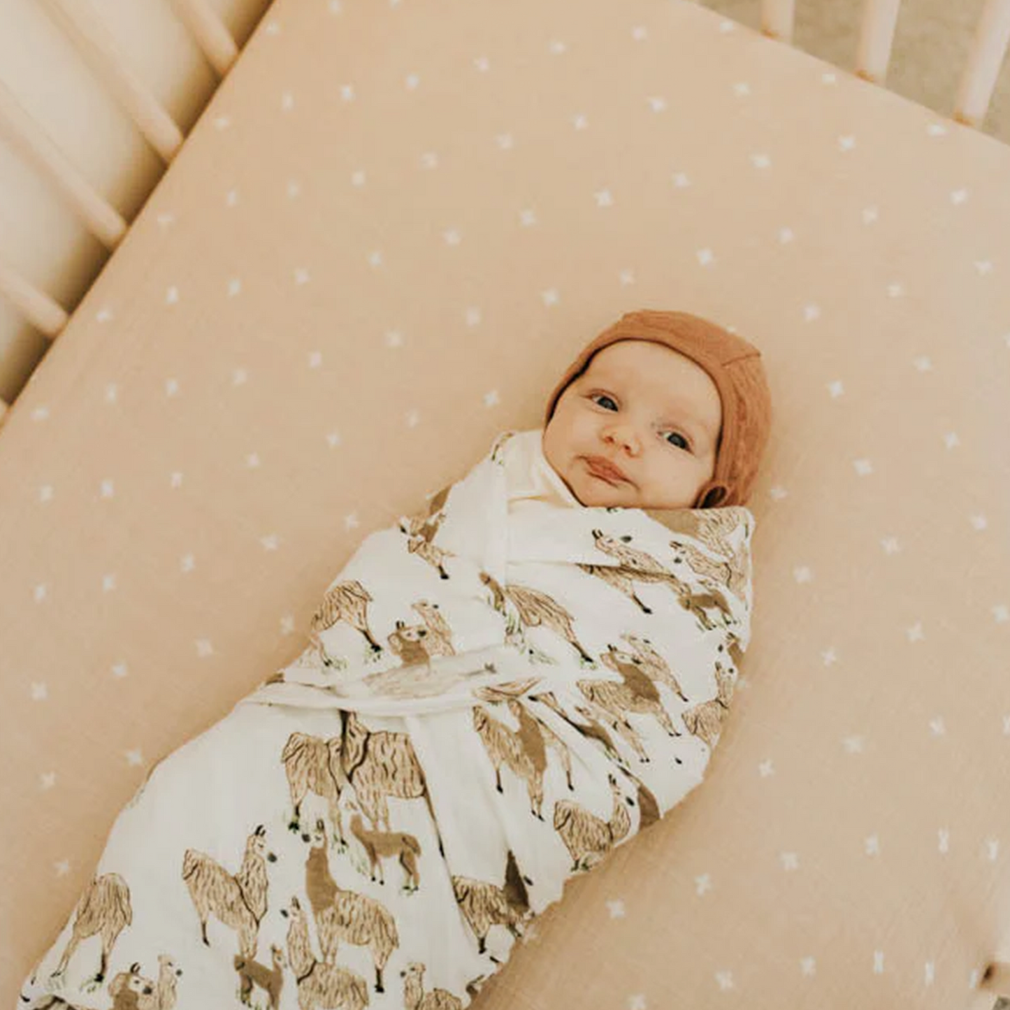 Cotton Muslin Swaddle Blanket - Llama Llama