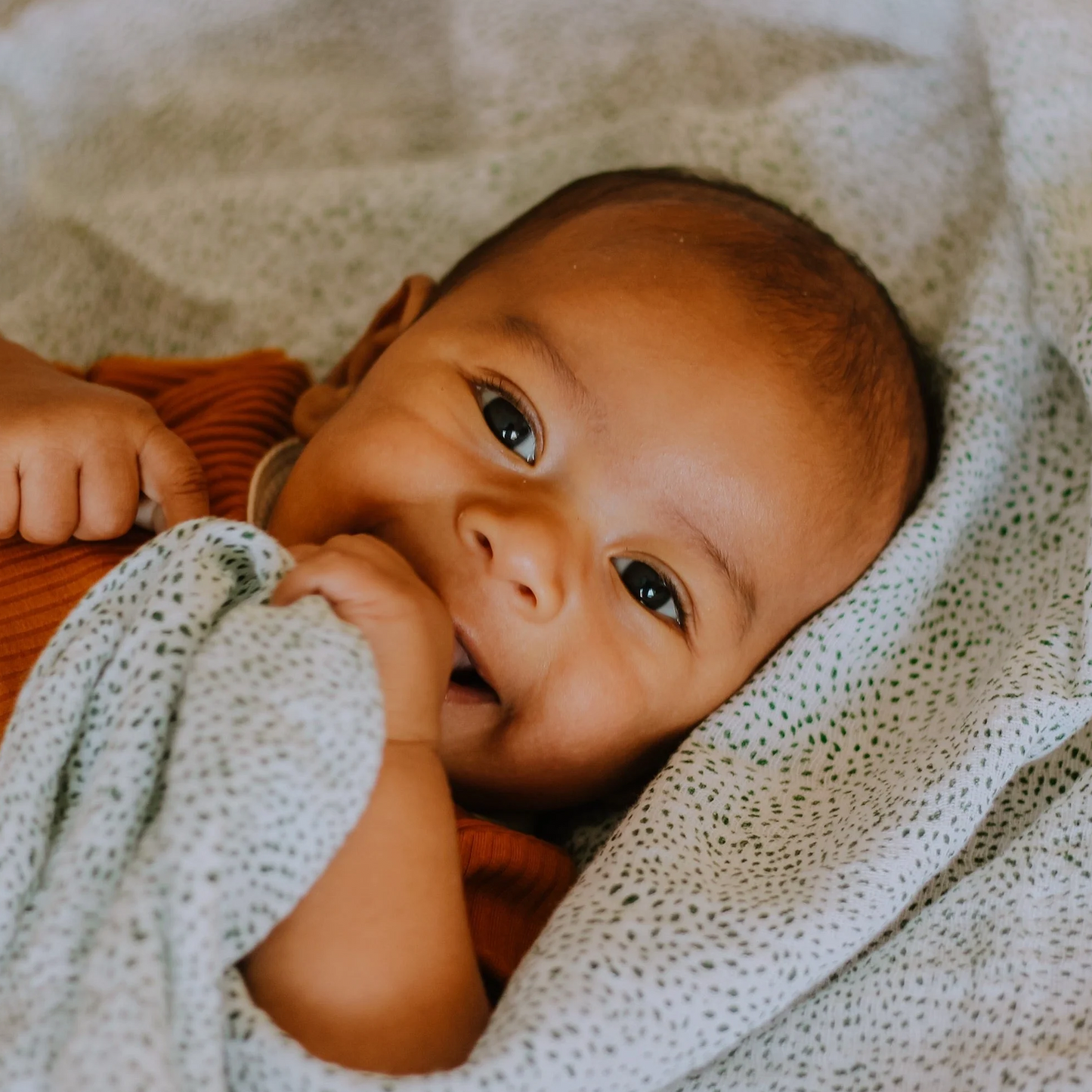 Cotton Muslin Swaddle Blanket - Green Seed