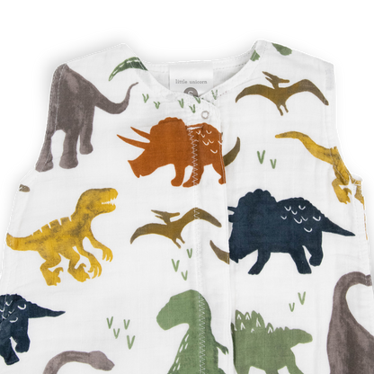 Cotton Muslin Sleep Bag - Dino Friends